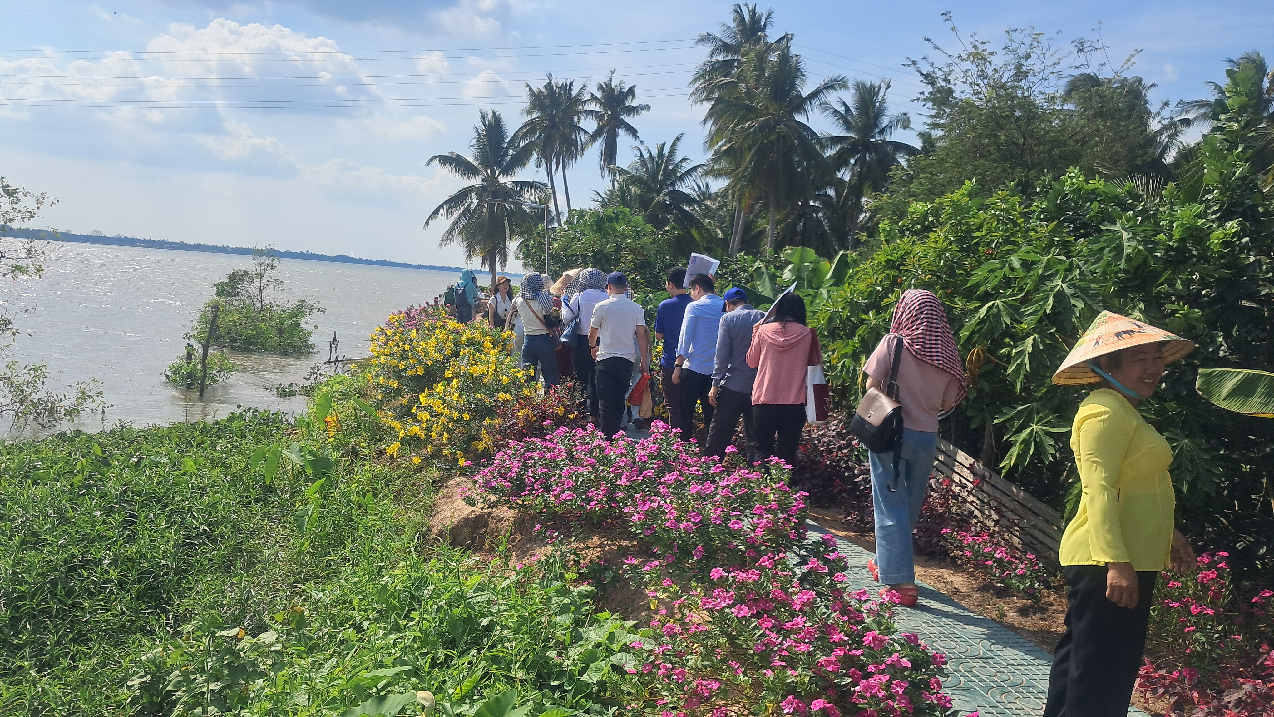 Điểm du lịch cộng đồng Cồn Hô xã Nhị Long được vinh danh là Điểm du lịch cộng đồng tiêu biểu, đón khách du lịch năm 2025 của Việt Nam